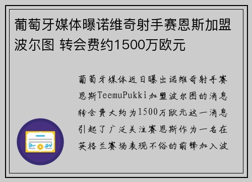 葡萄牙媒体曝诺维奇射手赛恩斯加盟波尔图 转会费约1500万欧元