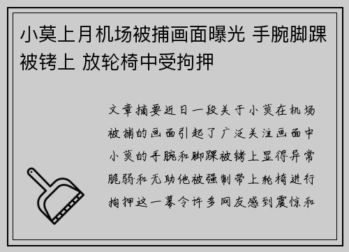 小莫上月机场被捕画面曝光 手腕脚踝被铐上 放轮椅中受拘押