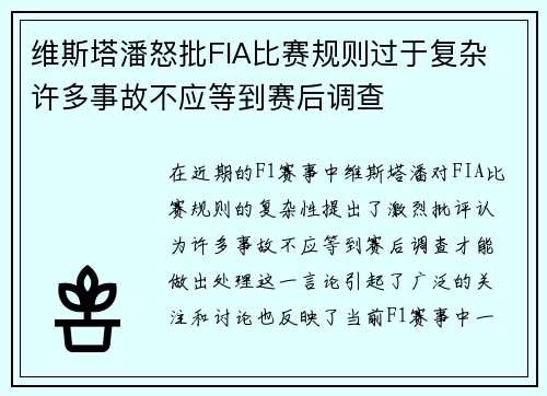 维斯塔潘怒批FIA比赛规则过于复杂 许多事故不应等到赛后调查